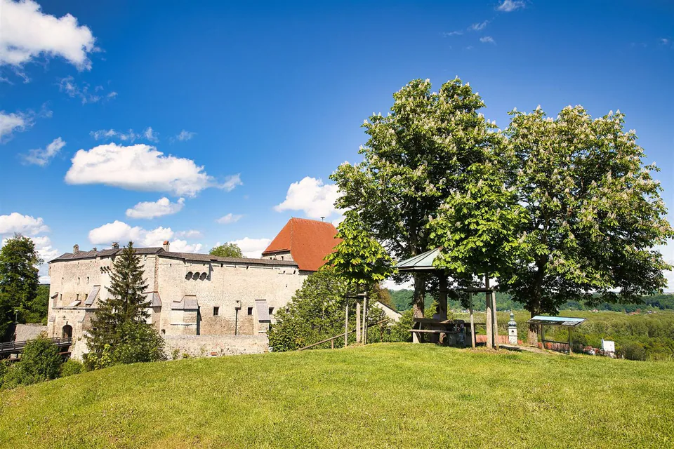 Tittmoning, Burg Tittmoning